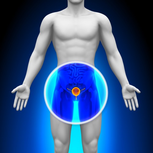 | Prostate | Natural Solution |