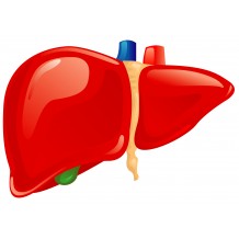 | Liver | Natural Solution |