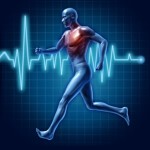 Sistema Cardiovascular